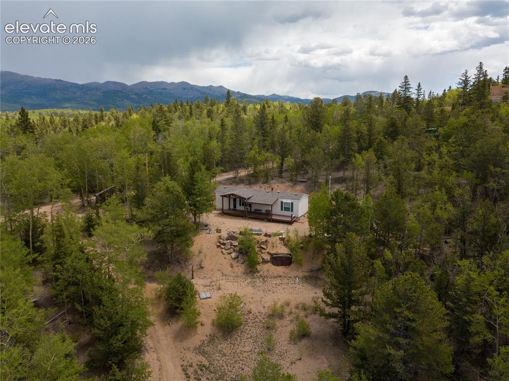 9525 S Highway 67 Divide CO 80814