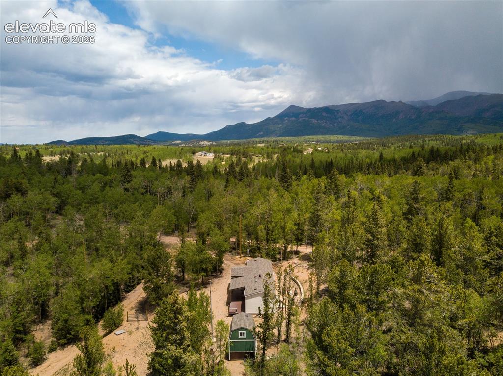 9525 S Highway 67 Divide CO 80814