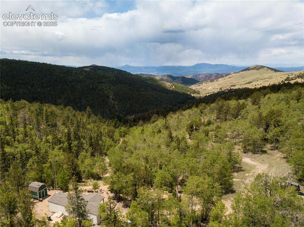 9525 S Highway 67 Divide CO 80814