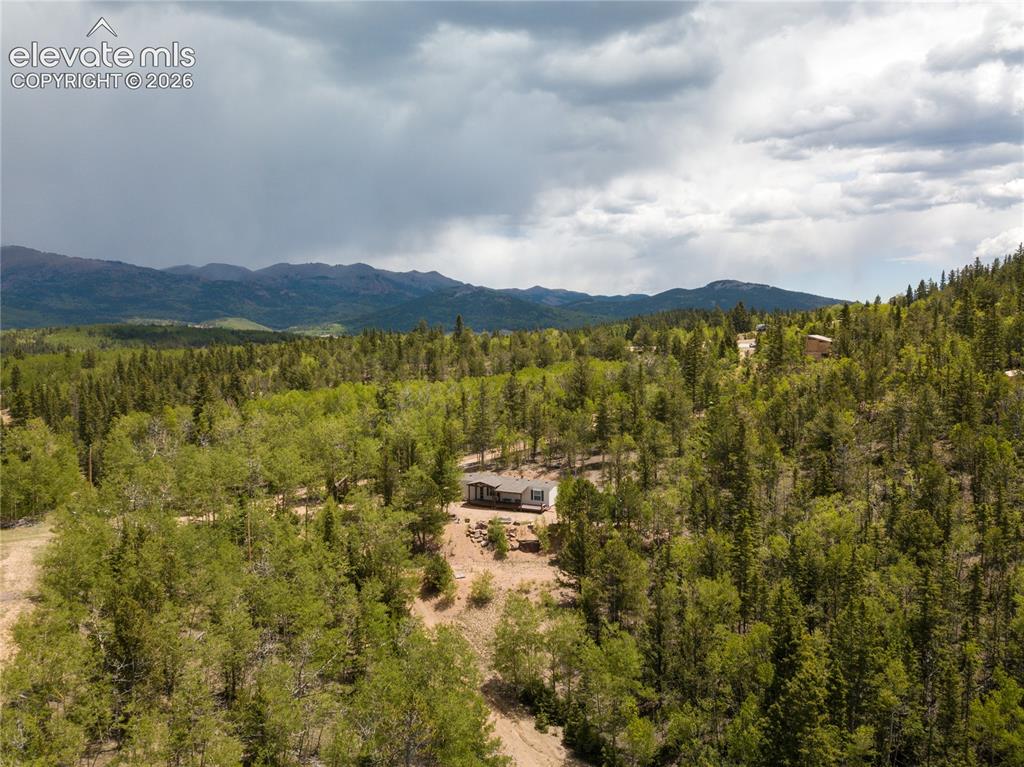 9525 S Highway 67 Divide CO 80814