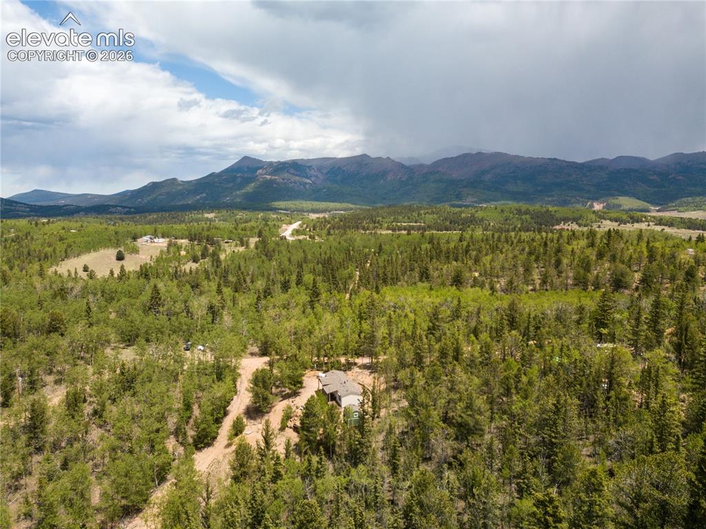 9525 S Highway 67 Divide CO 80814