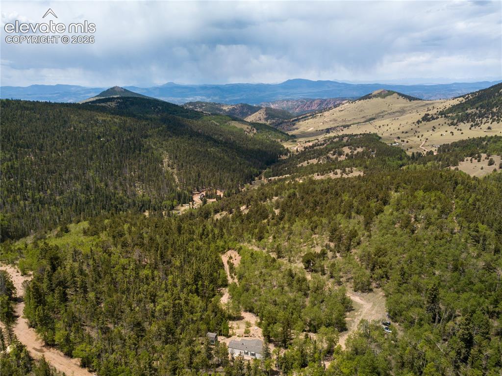9525 S Highway 67 Divide CO 80814