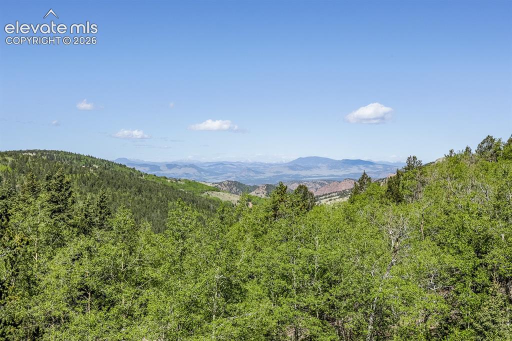 9525 S Highway 67 Divide CO 80814
