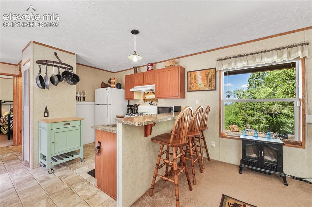 9525 S Highway 67 Divide CO 80814