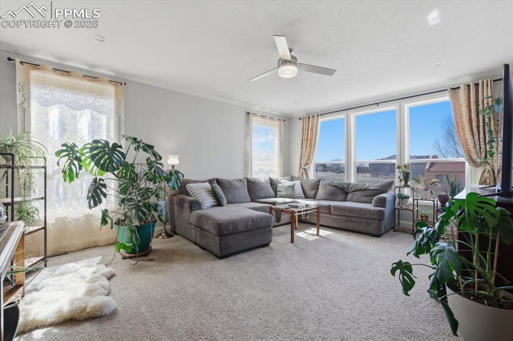 279 W Acorn Drive Pueblo CO 81007