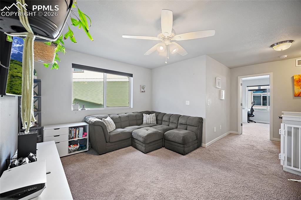 6628 John Muir Trail Colorado Springs CO 80927