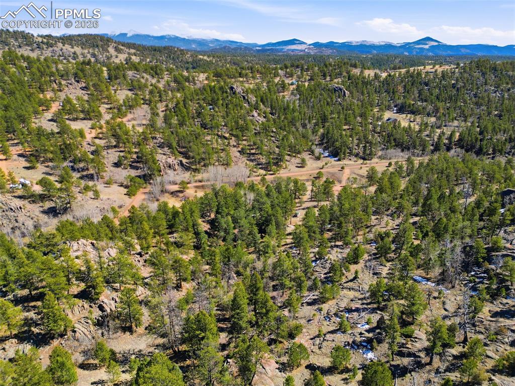 799 Canyon Drive Guffey CO 80820