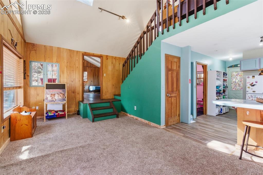 799 Canyon Drive Guffey CO 80820