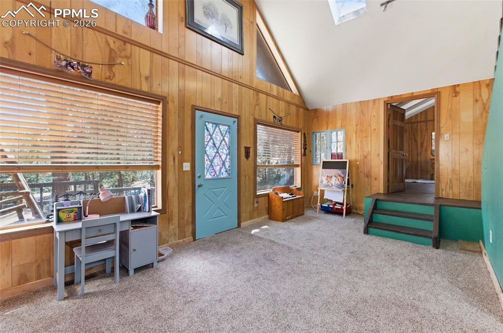 799 Canyon Drive Guffey CO 80820