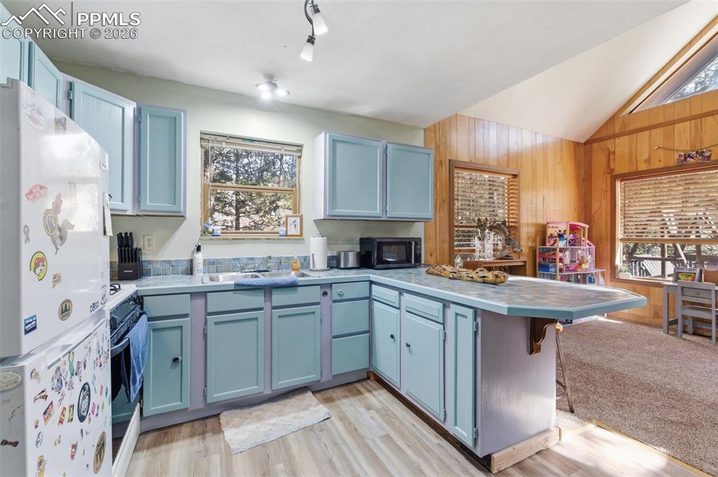 799 Canyon Drive Guffey CO 80820