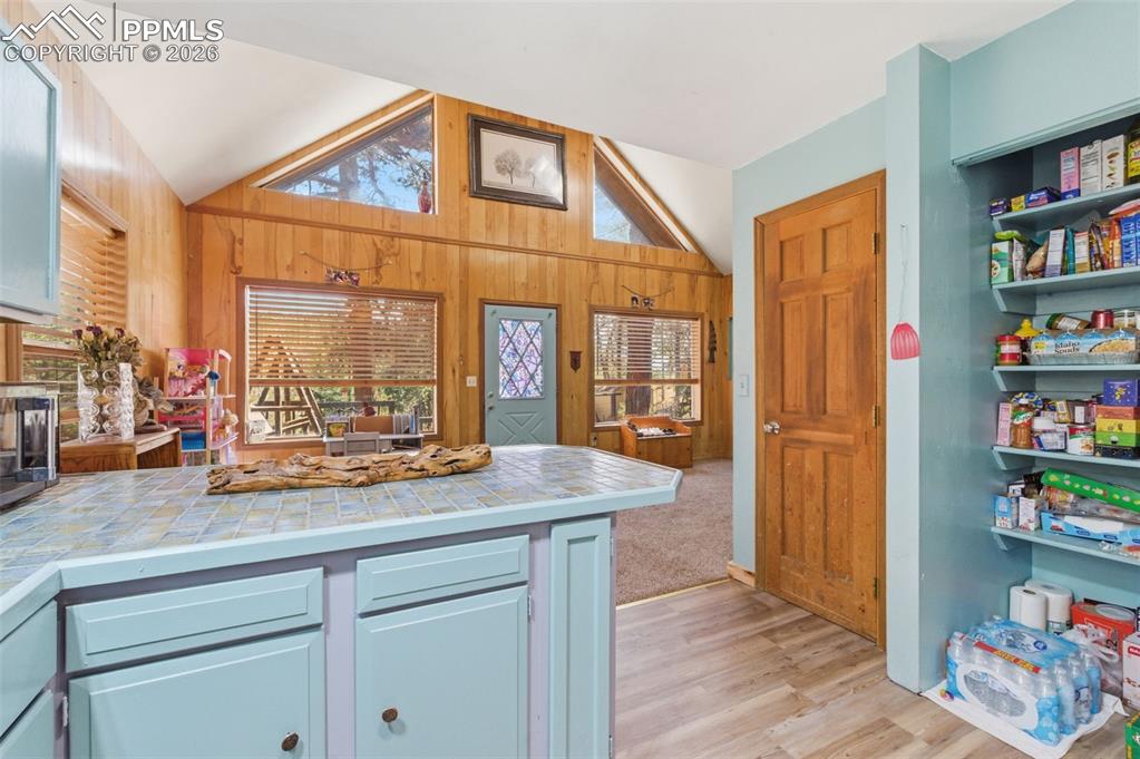 799 Canyon Drive Guffey CO 80820