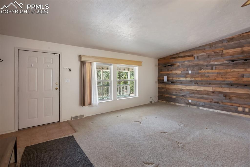 1011 W Bison Creek Trail Divide CO 80814