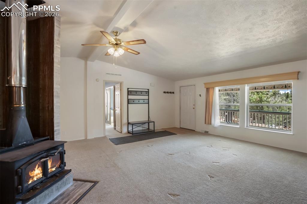 1011 W Bison Creek Trail Divide CO 80814