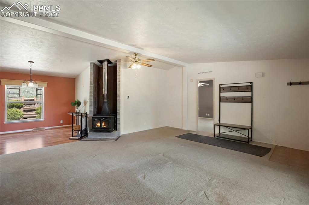 1011 W Bison Creek Trail Divide CO 80814