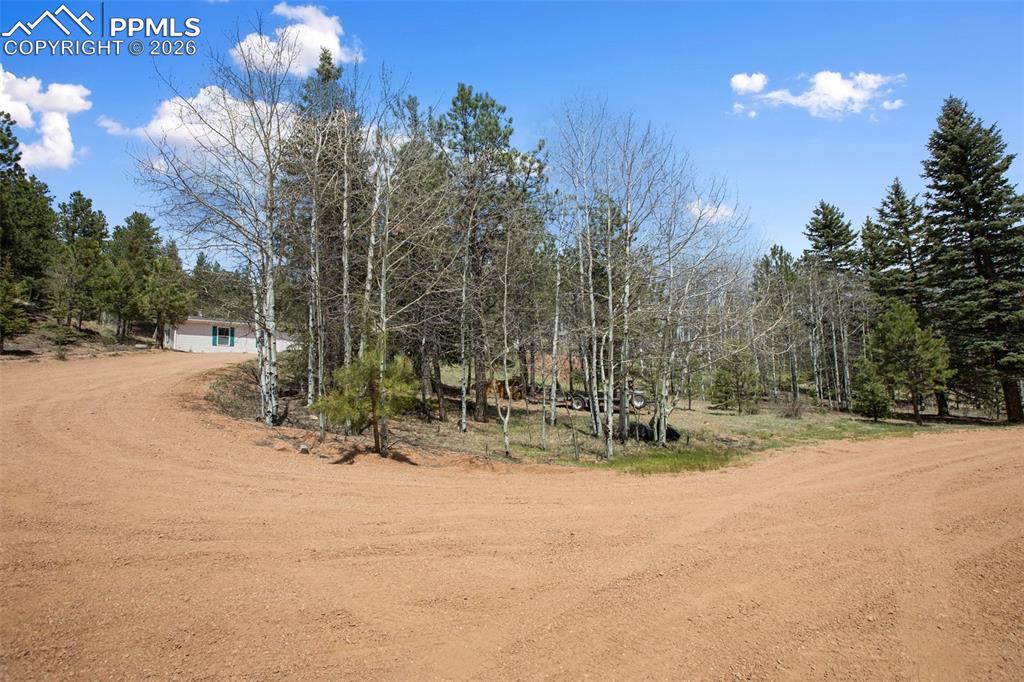 1011 W Bison Creek Trail Divide CO 80814