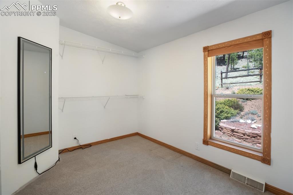 1011 W Bison Creek Trail Divide CO 80814