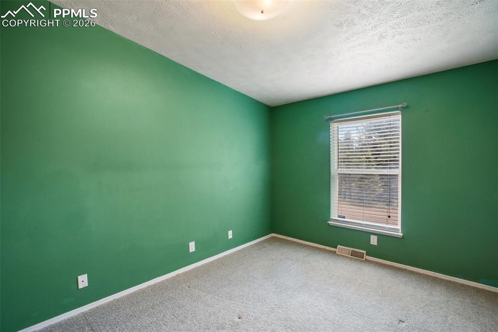 1011 W Bison Creek Trail Divide CO 80814