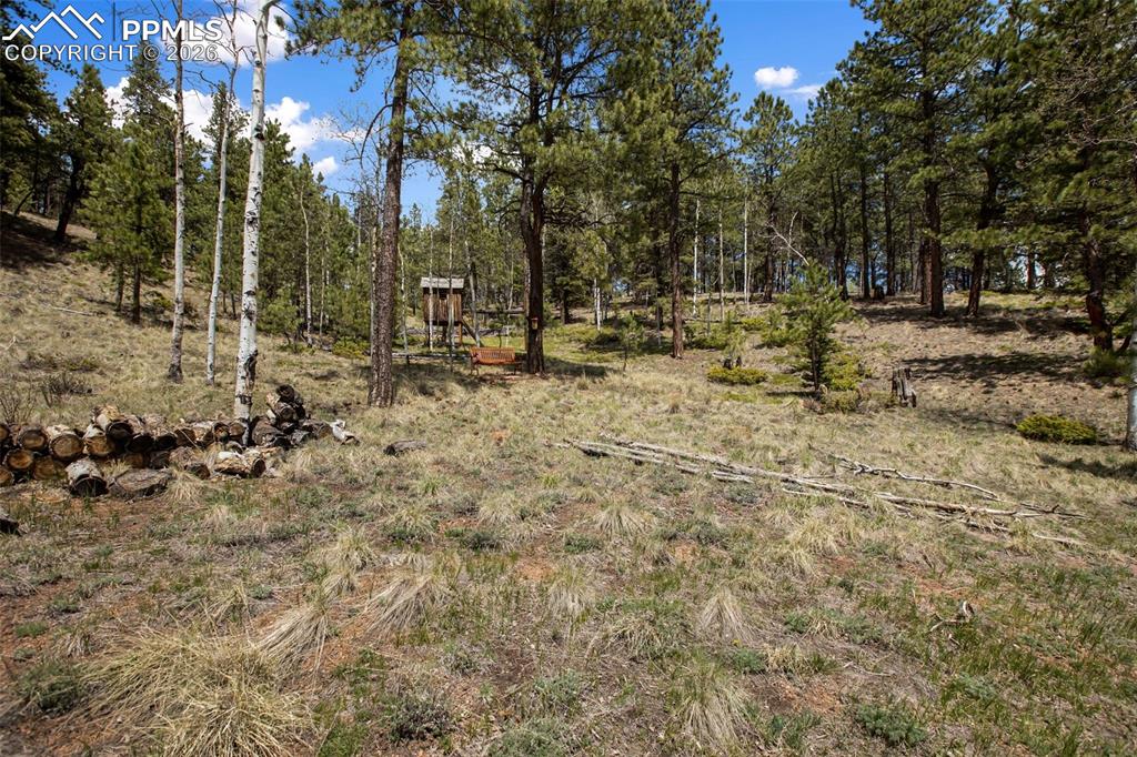 1011 W Bison Creek Trail Divide CO 80814