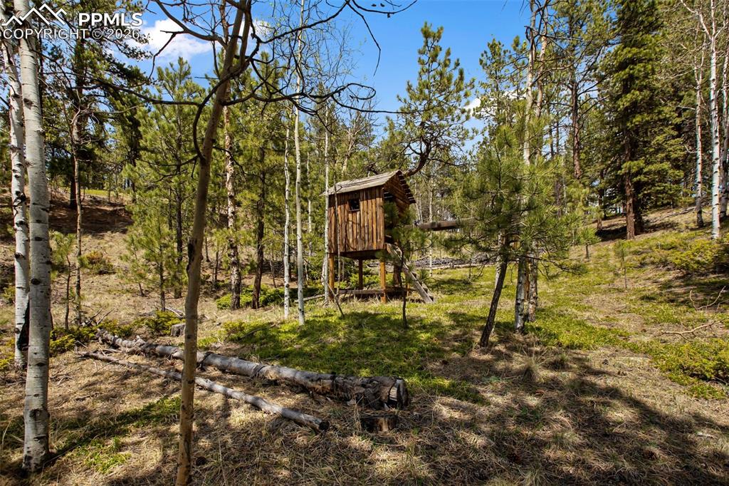1011 W Bison Creek Trail Divide CO 80814