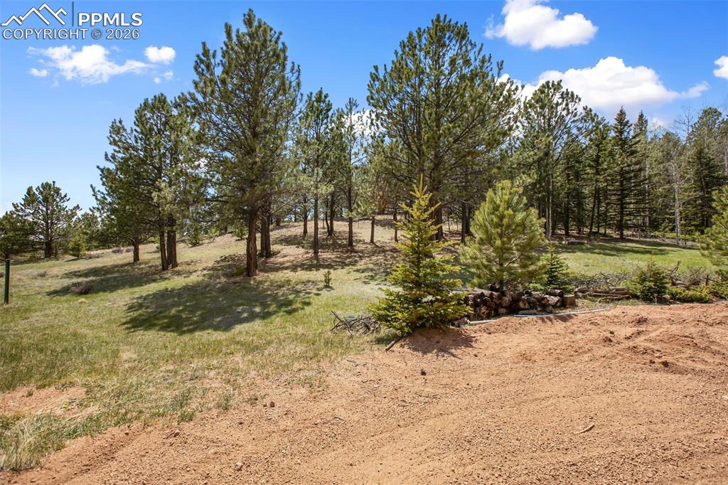 1011 W Bison Creek Trail Divide CO 80814