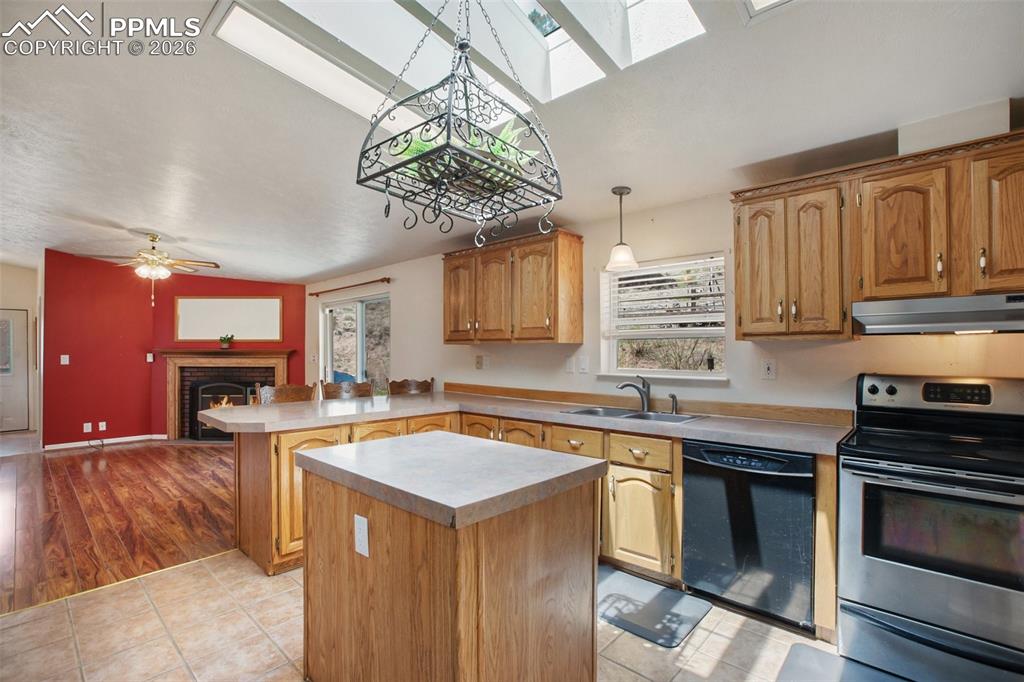 1011 W Bison Creek Trail Divide CO 80814
