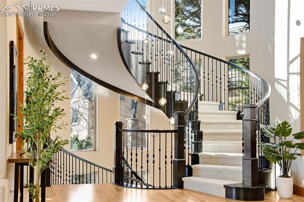 4433 Tierra Alta Drive Castle Rock CO 80104