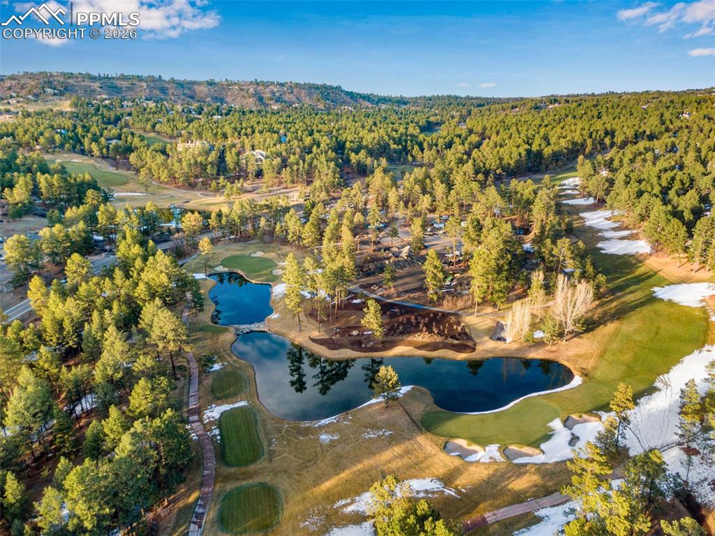 4433 Tierra Alta Drive Castle Rock CO 80104