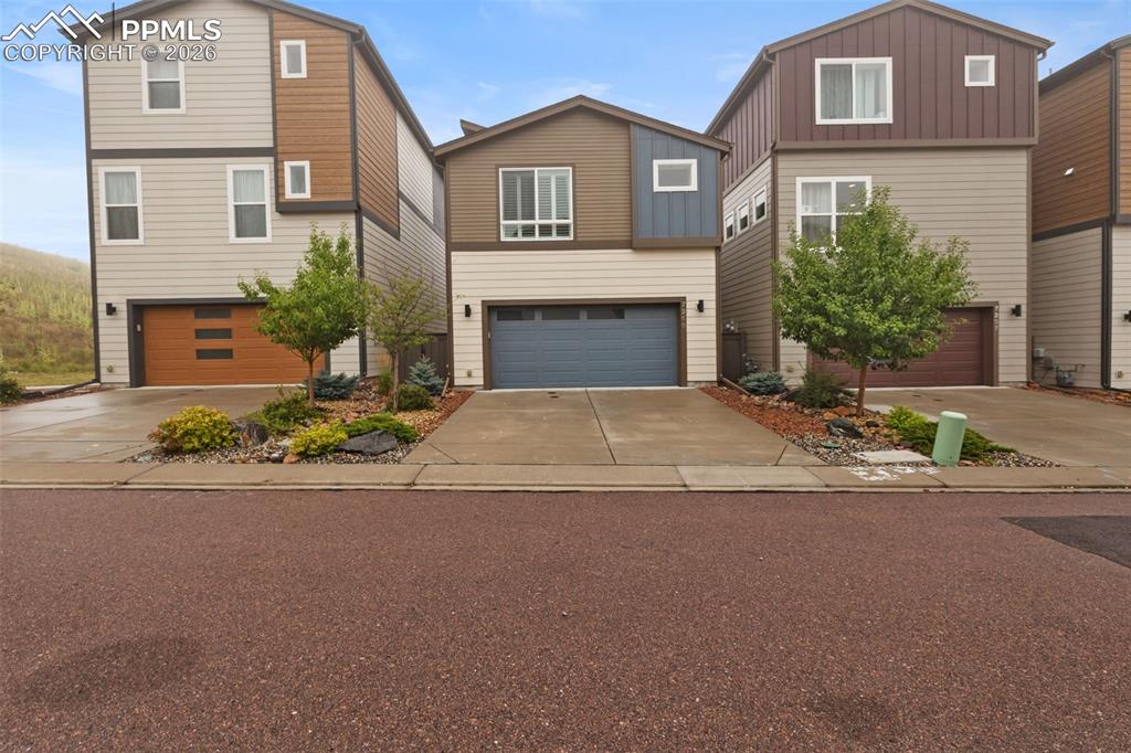 7259 Treebrook Lane Colorado Springs CO 80918
