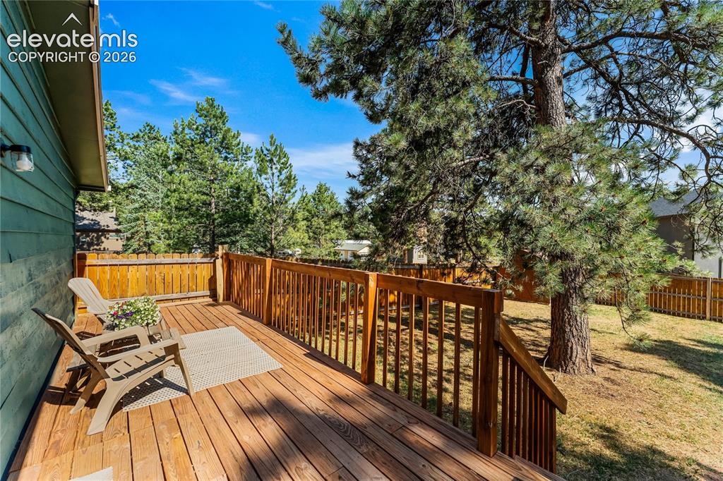 300 S Fairview Street Woodland Park CO 80863