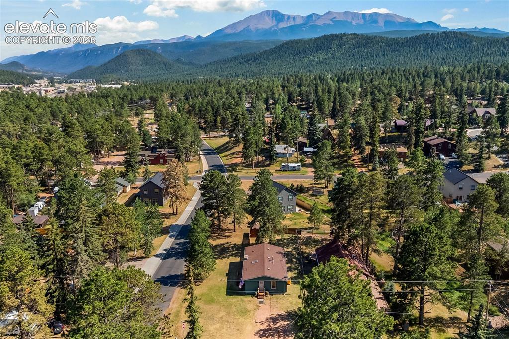 300 S Fairview Street Woodland Park CO 80863