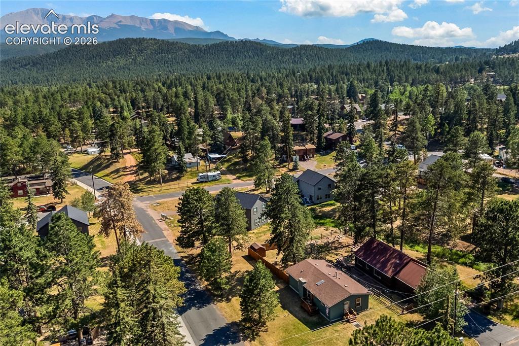300 S Fairview Street Woodland Park CO 80863