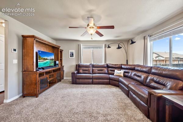 10061 Thunderbolt Trail Colorado Springs CO 80925