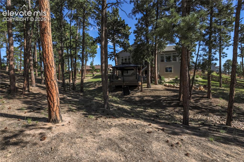 16021 Fox Mesa Court Monument CO 80132