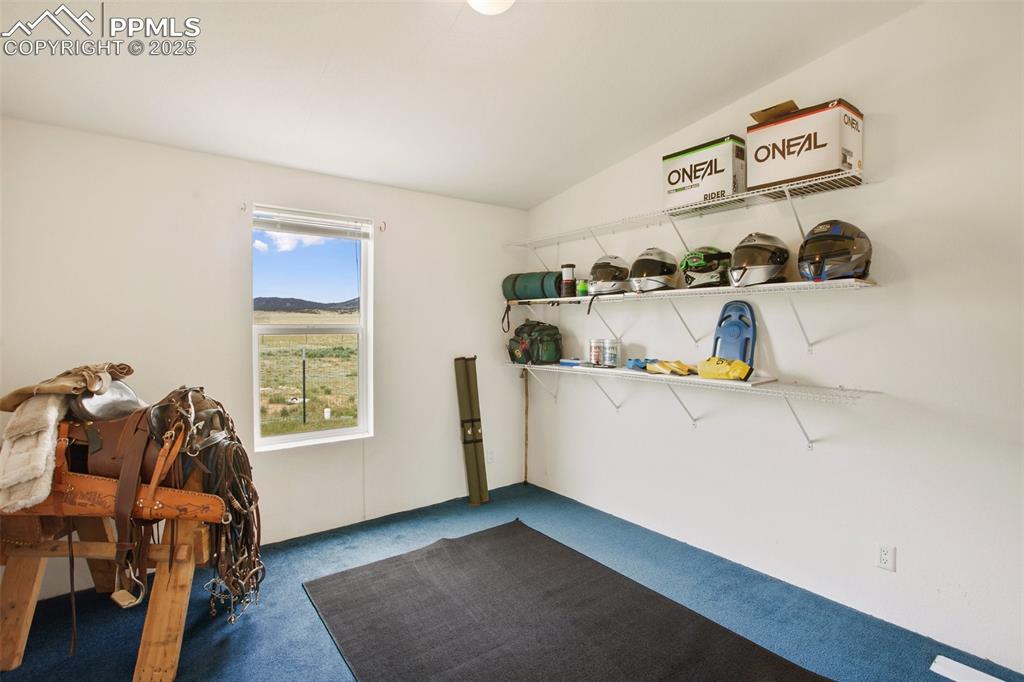 463 Snowshoe Lane Lake George CO 80827