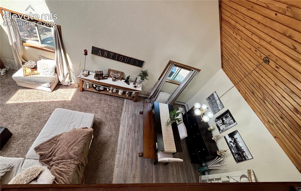 410 Hillcrest Avenue Woodland Park CO 80863