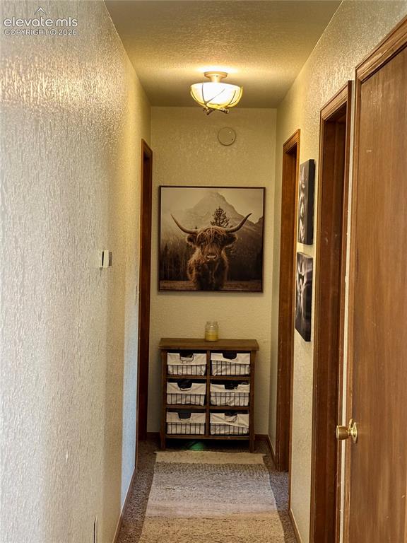 410 Hillcrest Avenue Woodland Park CO 80863