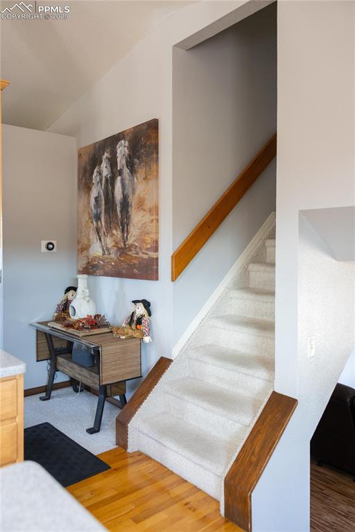 8115 Mustang Road Colorado Springs CO 80908