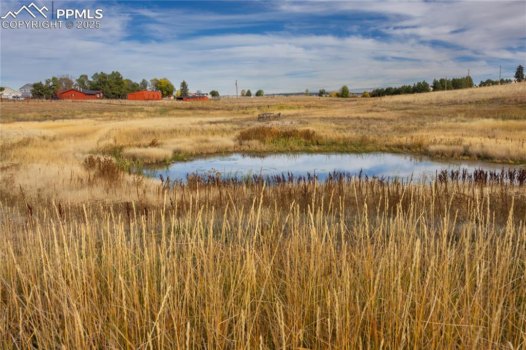 8115 Mustang Road Colorado Springs CO 80908