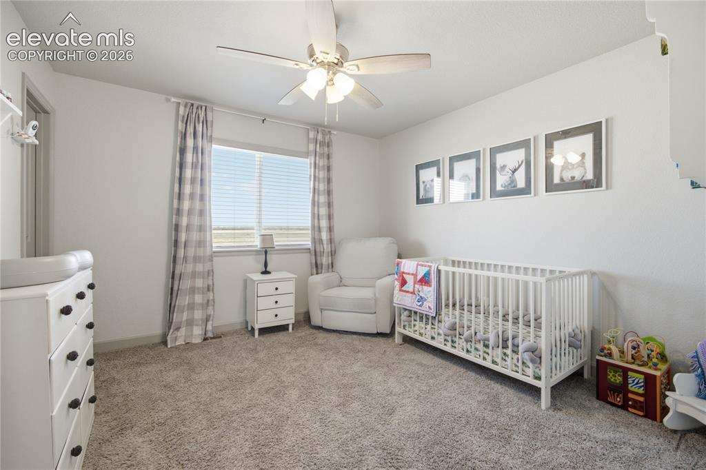6108 Wacissa Drive Colorado Springs CO 80925