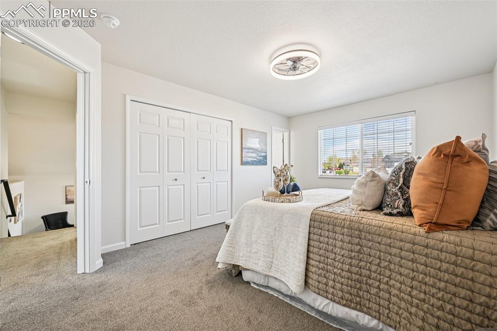 7386 Coral Ridge Drive Colorado Springs CO 80925