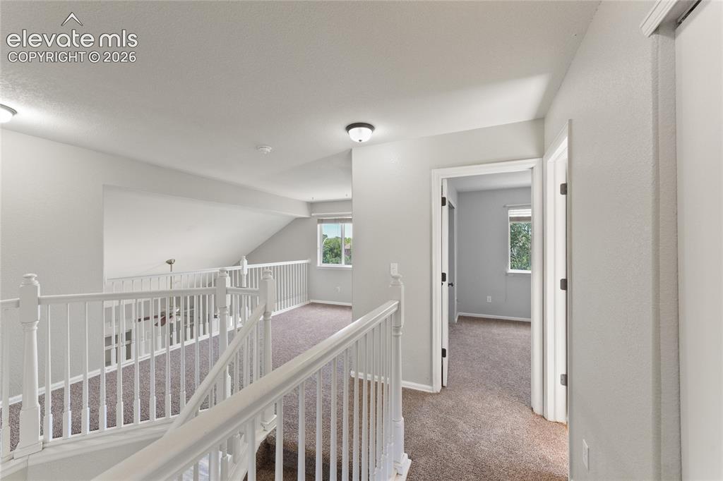 5163 Belle Star Drive Colorado Springs CO 80922