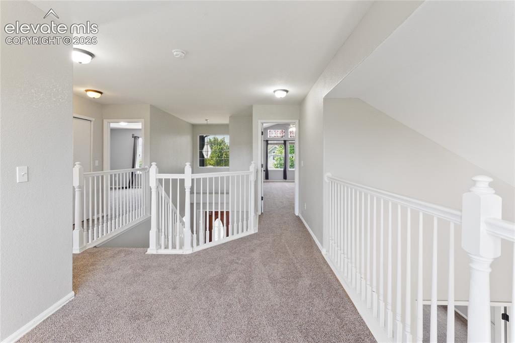 5163 Belle Star Drive Colorado Springs CO 80922