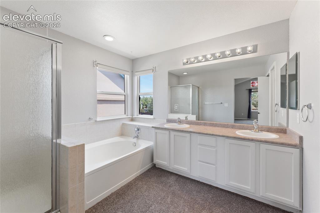 5163 Belle Star Drive Colorado Springs CO 80922
