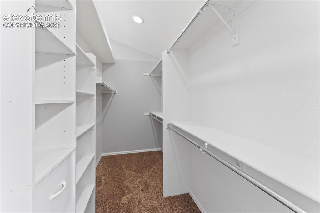 5163 Belle Star Drive Colorado Springs CO 80922
