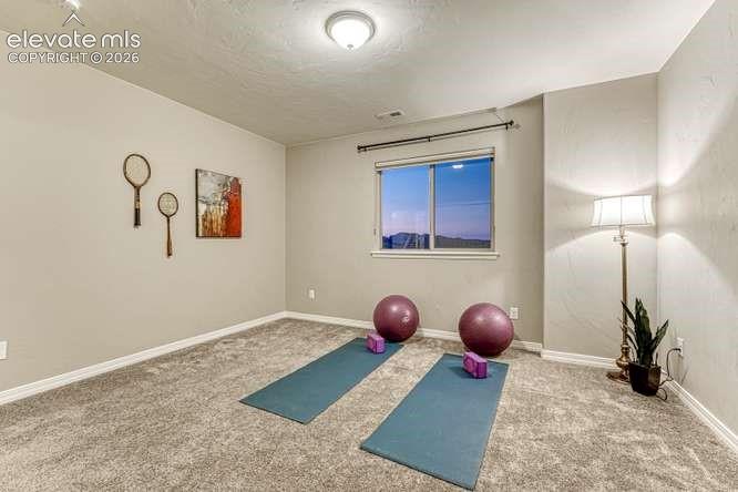 2543 Lakes Edge Drive Monument CO 80132