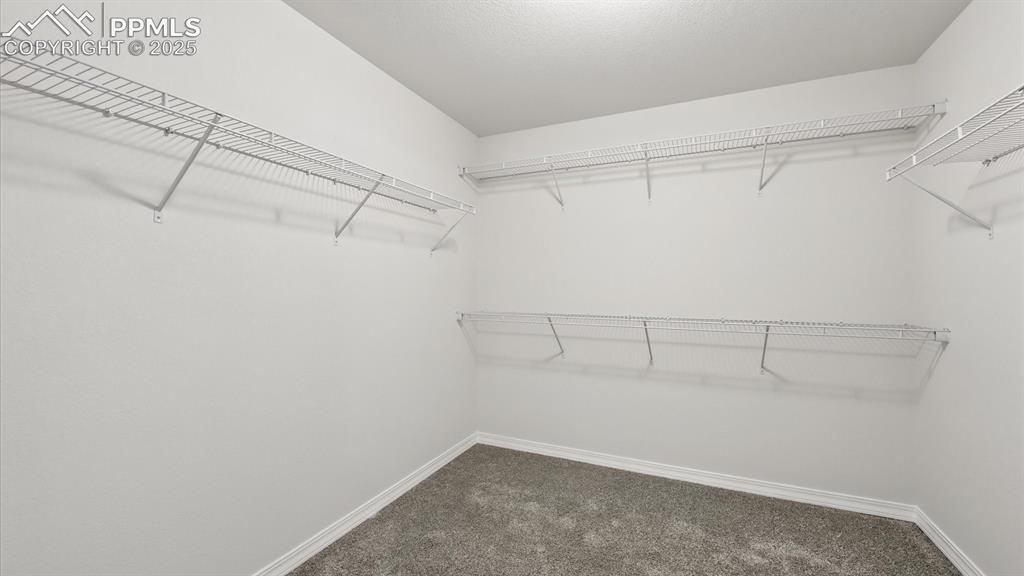 8567 Besson Court Colorado Springs CO 80925