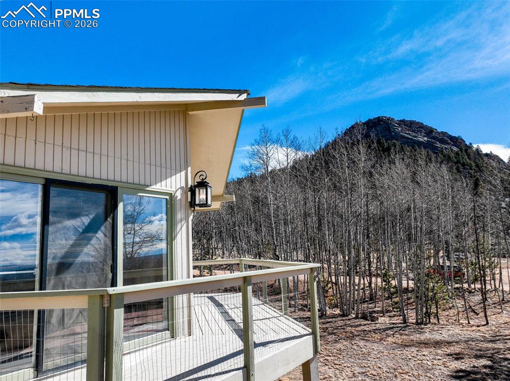 1874 Vagabond Creek Drive Lake George CO 80827