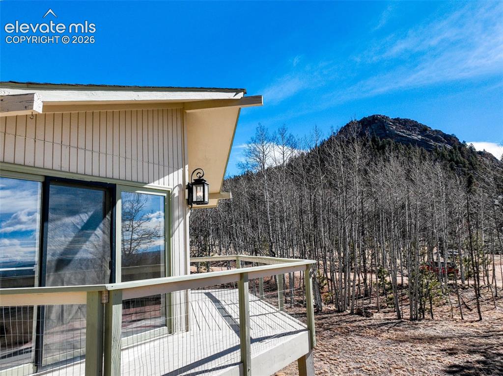 1874 Vagabond Creek Drive Lake George CO 80827