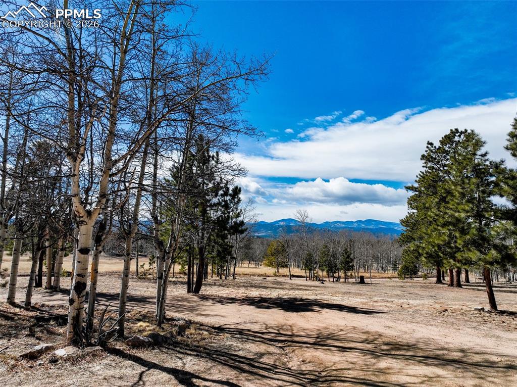 1874 Vagabond Creek Drive Lake George CO 80827