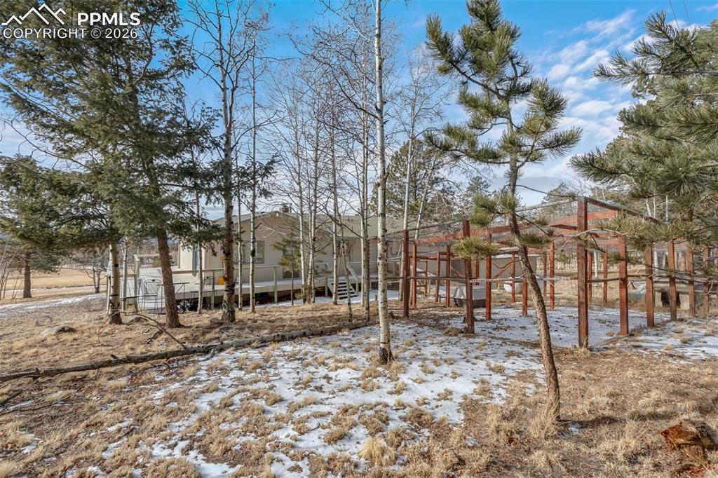 1874 Vagabond Creek Drive Lake George CO 80827